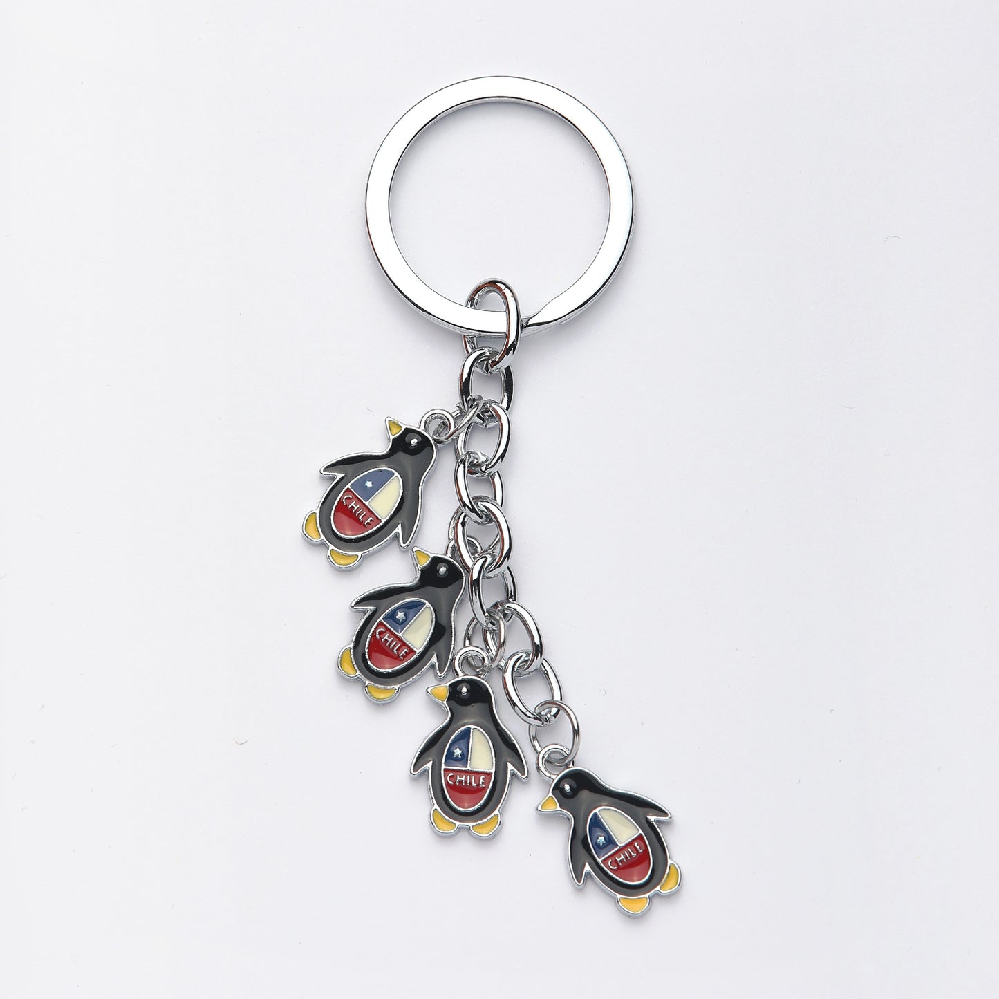 PROMOTIONAL KEYCHAIN